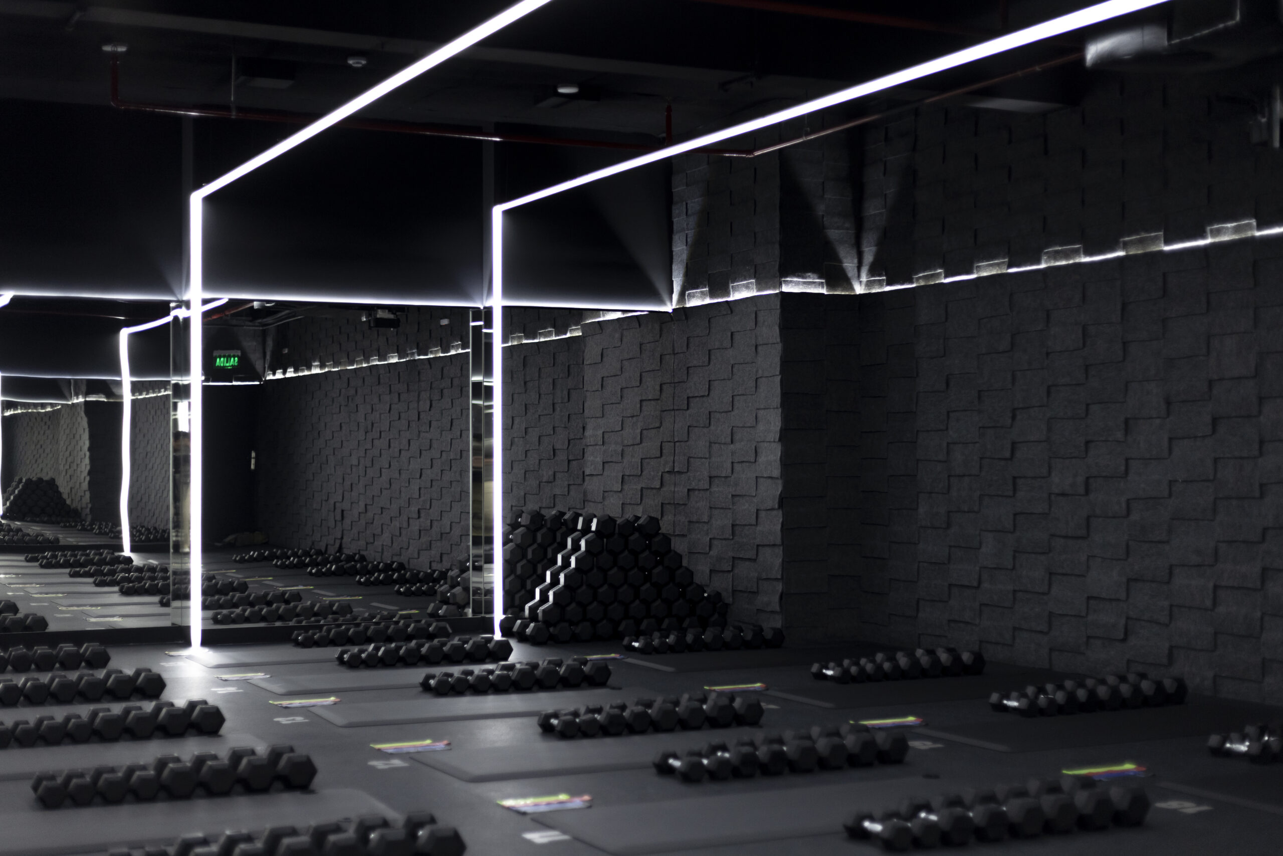 Diseño y Arquitectura de Gimnasios Modernos: Un Espacio para el Rendimiento y la Experiencia